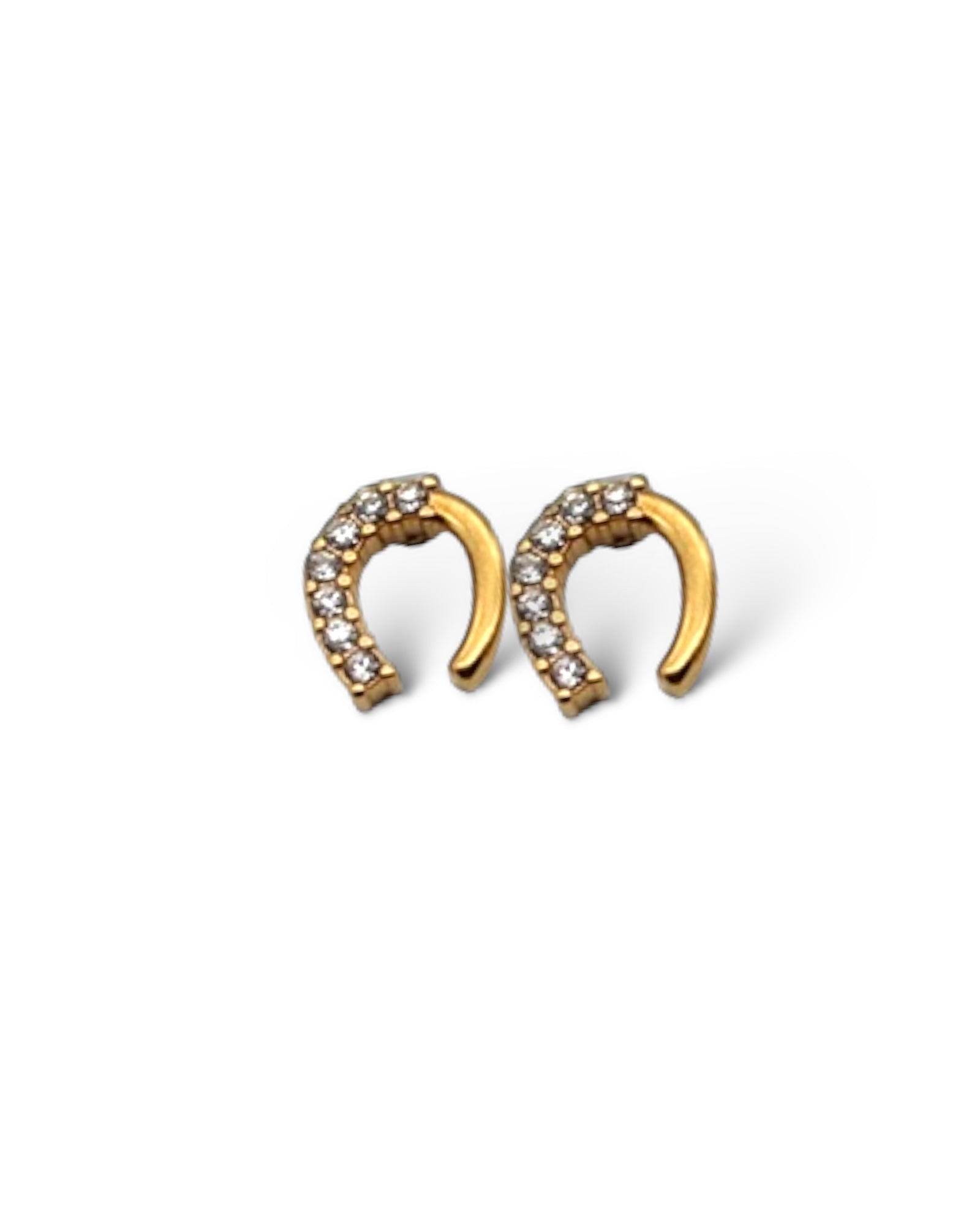 Horse shoe zircon 18k gold plated waterproof earrings